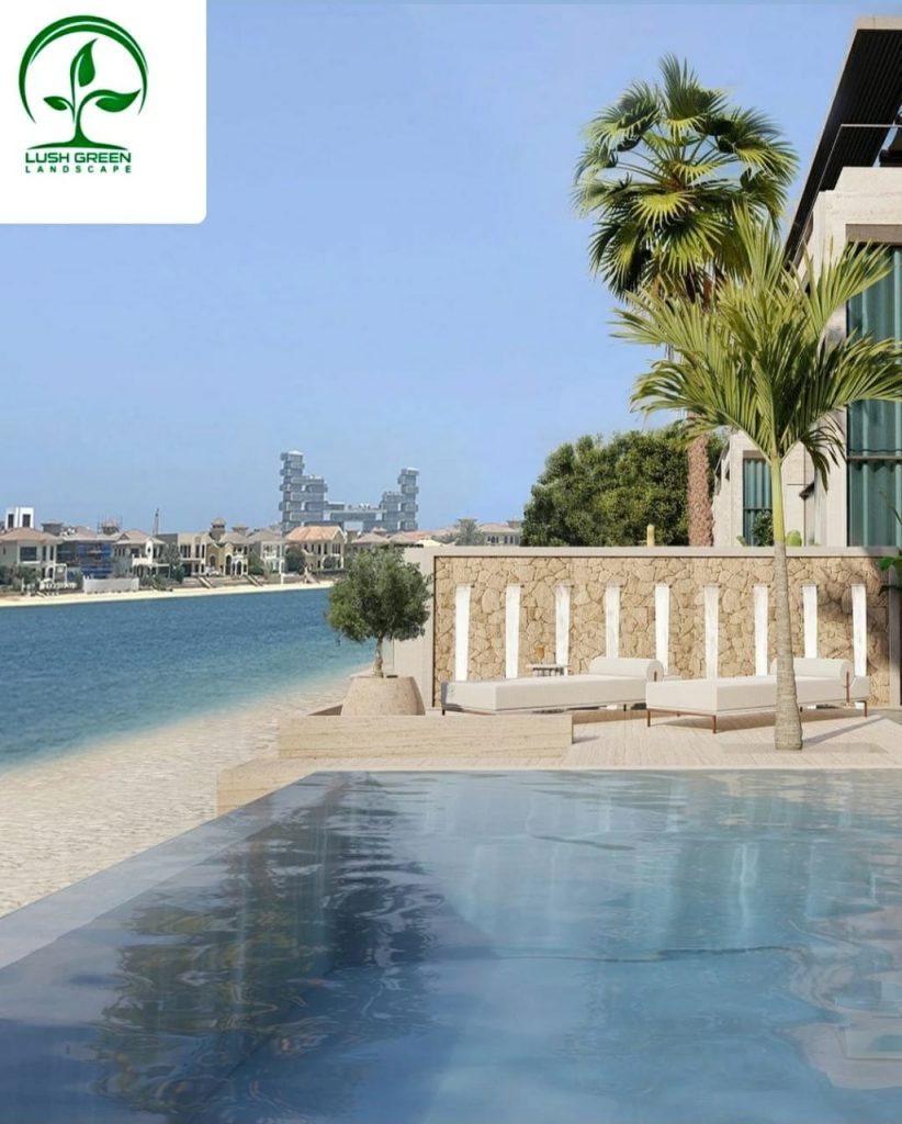 Poolside palms