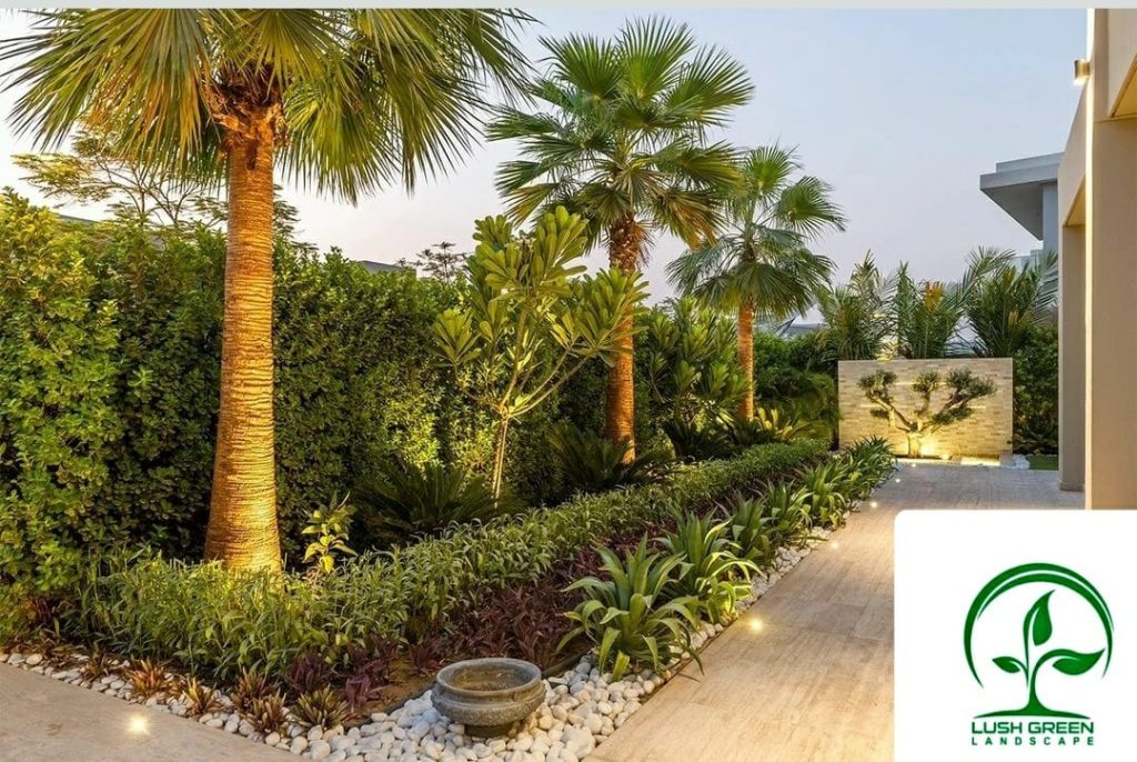 Palm-lined garden path
