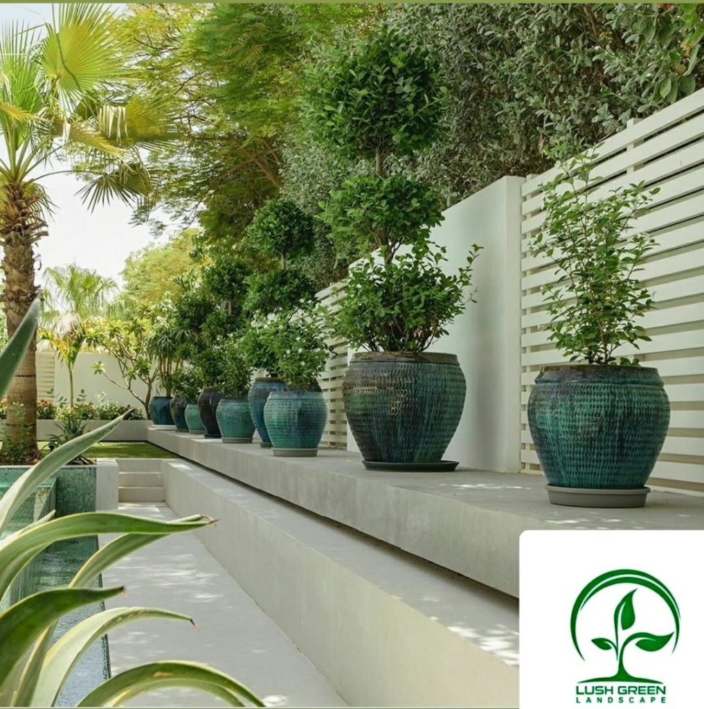 Potted garden features