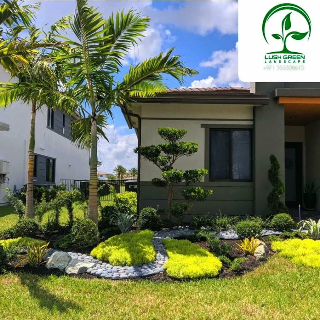 Palm & ornamental planting