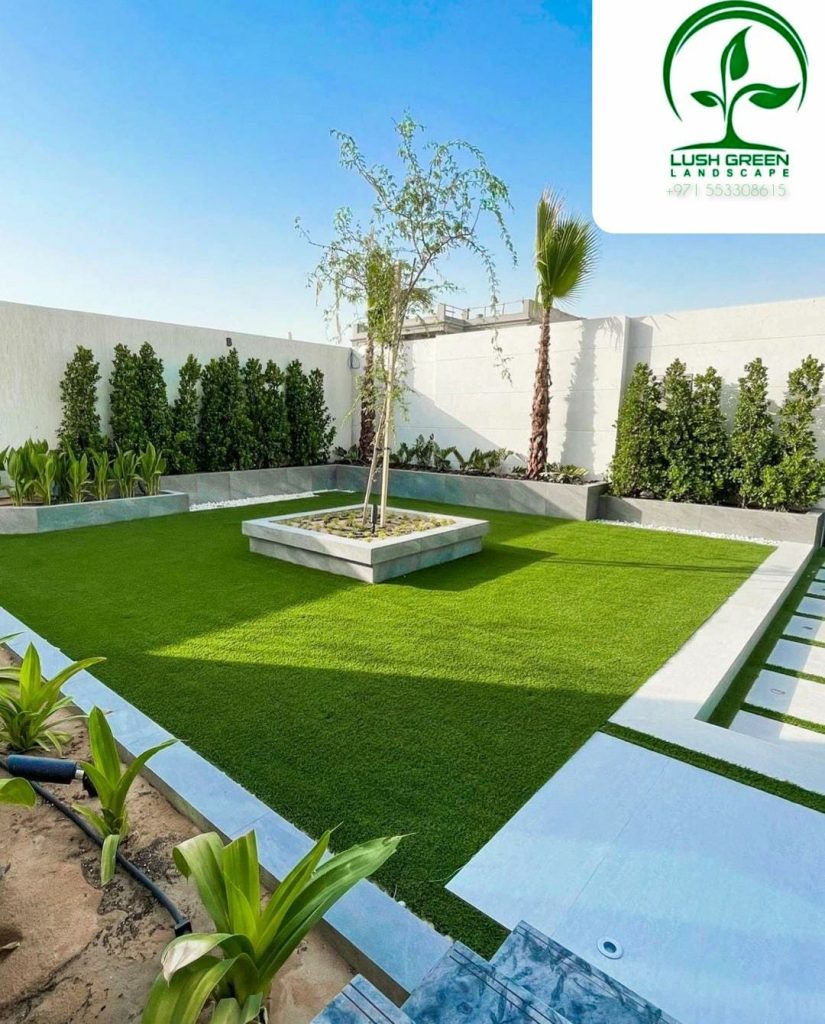 Feature tree in lawn