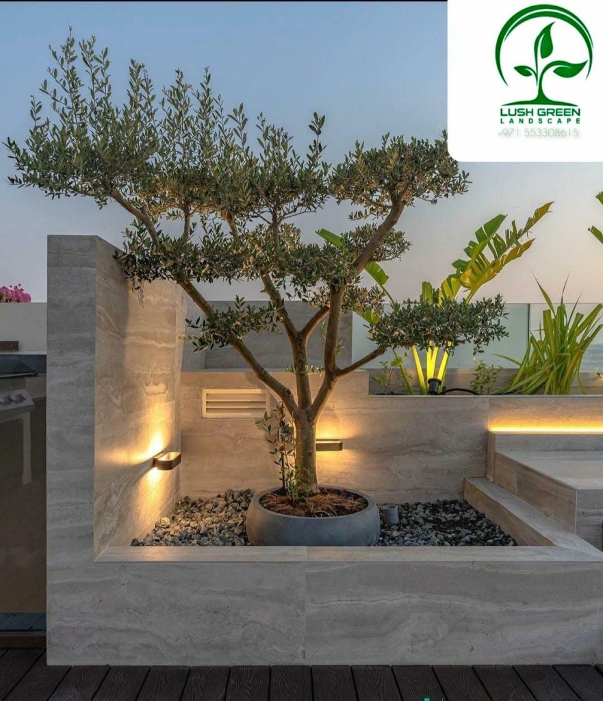 Illuminated feature tree