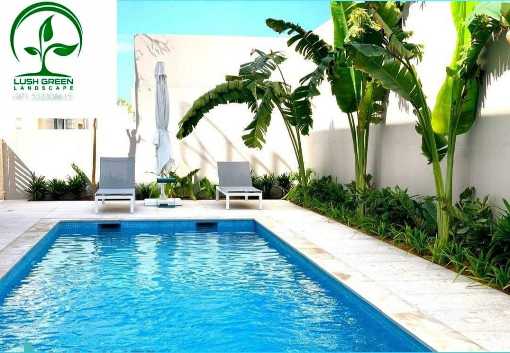 Pool & tropical planting