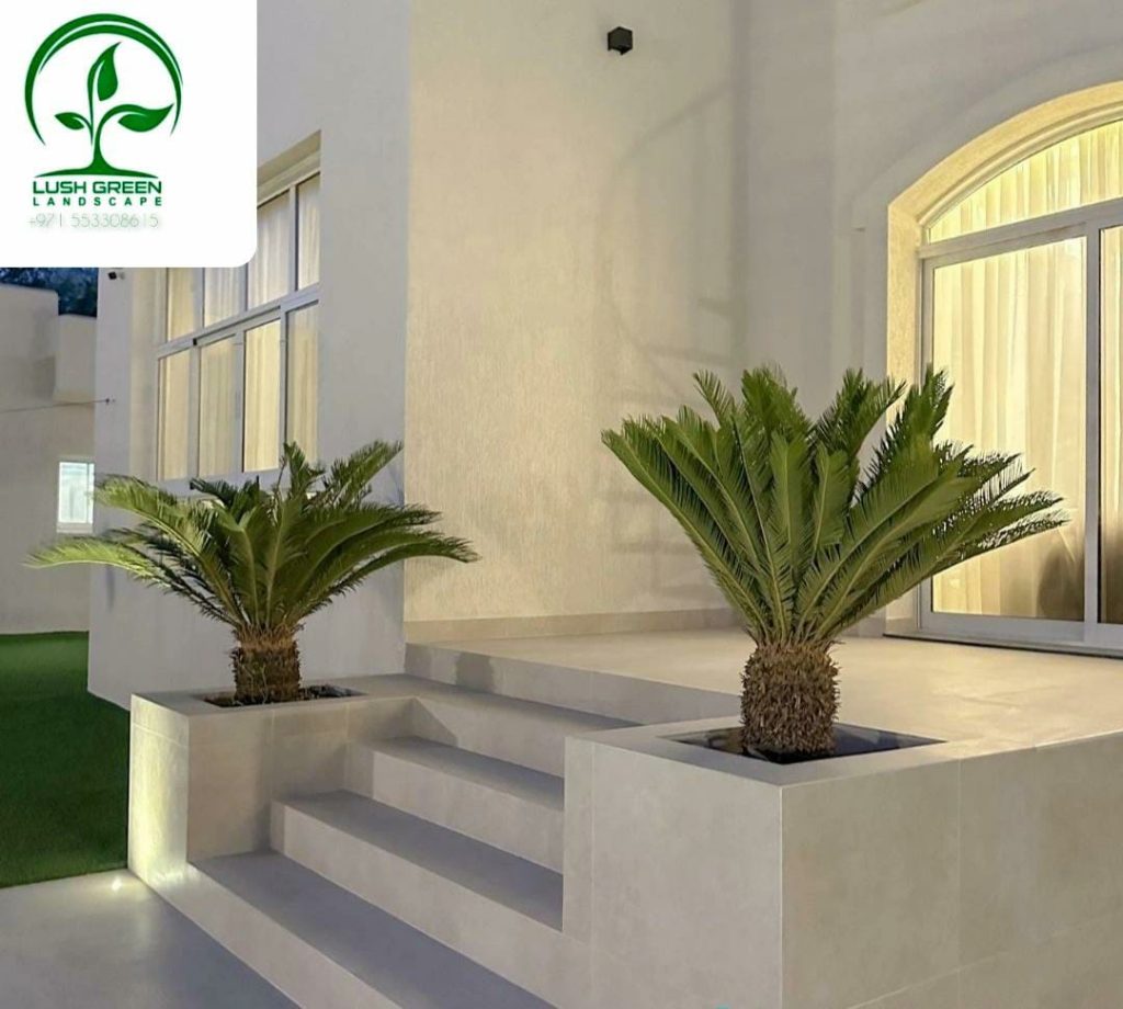 Entrance planting