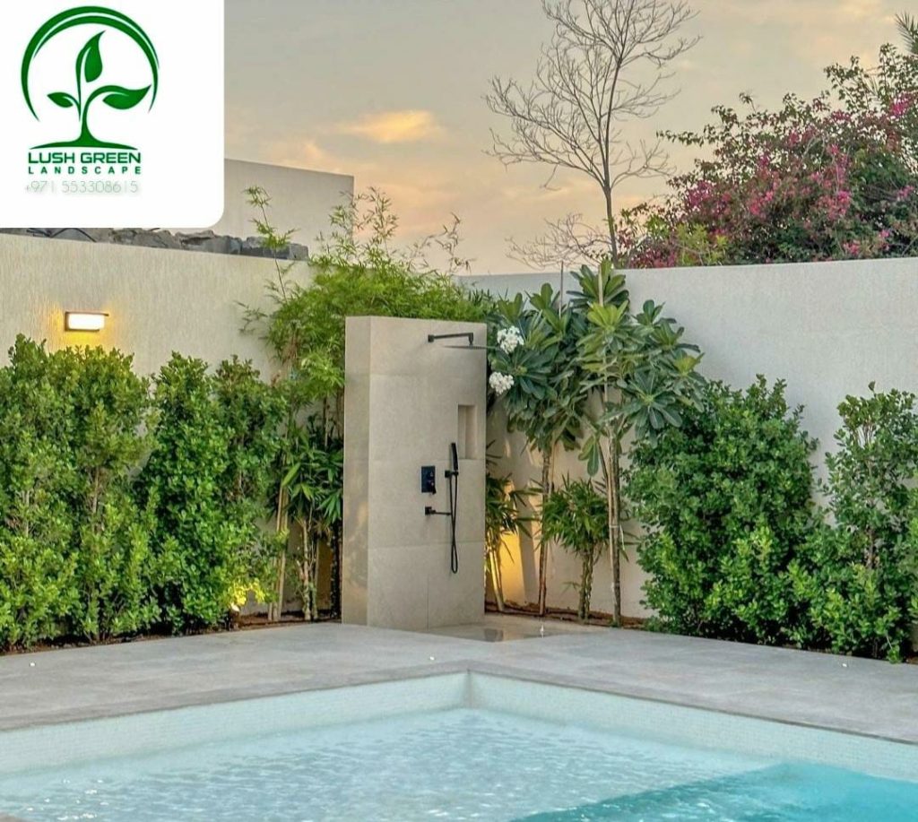 Courtyard pool & hedge