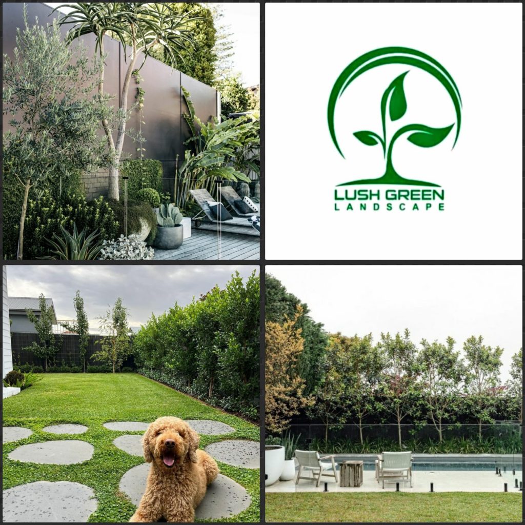 Planting & garden path collection