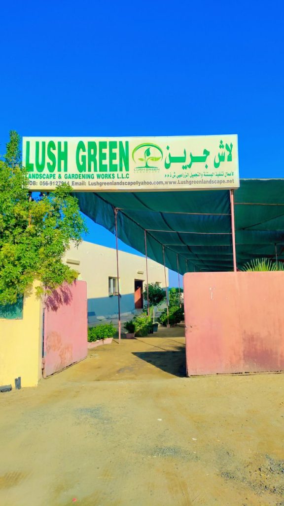 Nursery entrance & signboard at Lush Green nursery