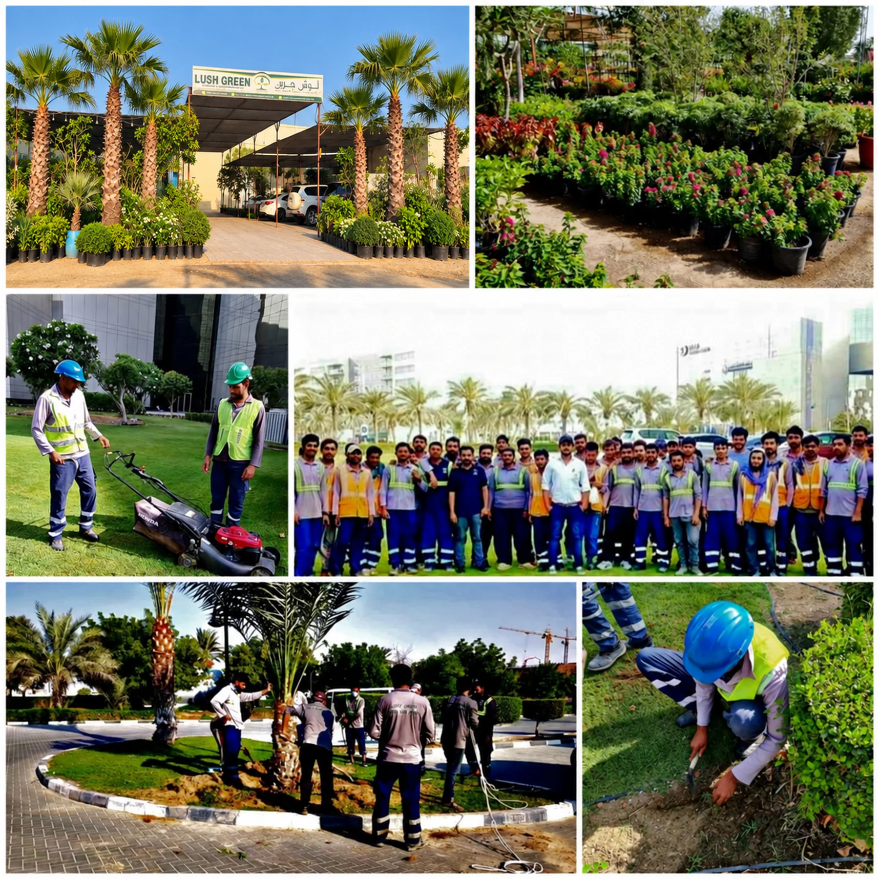 Lush Green nursery entrance, plants, team and landscaping work